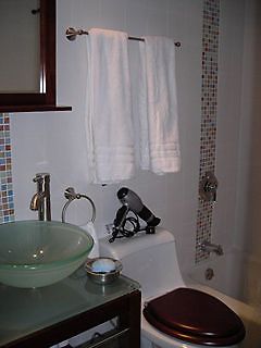 Indian Creek Suites Miami Beach Esterno foto